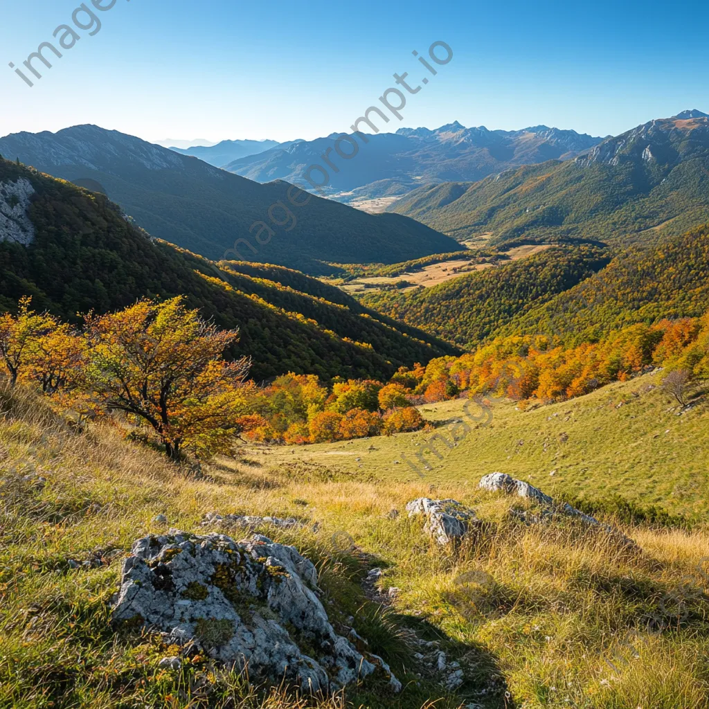 View of a valley rich in autumn colors from a hiking trail under a clear blue sky. - Image 4