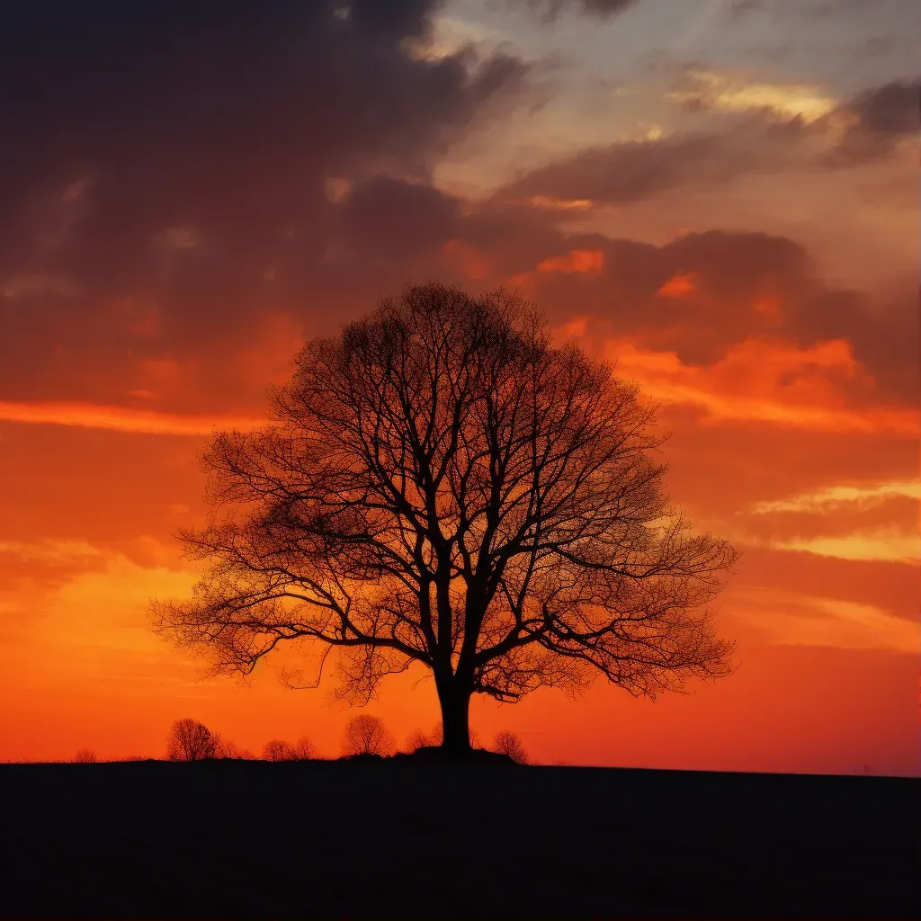 sunset silhouette - Image 1