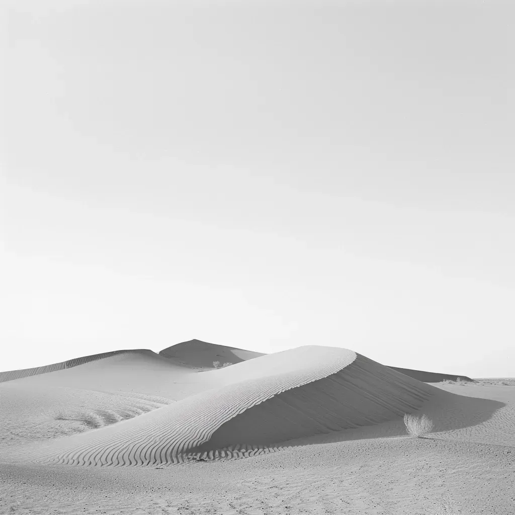 Barren desert landscape in black and white - Image 2