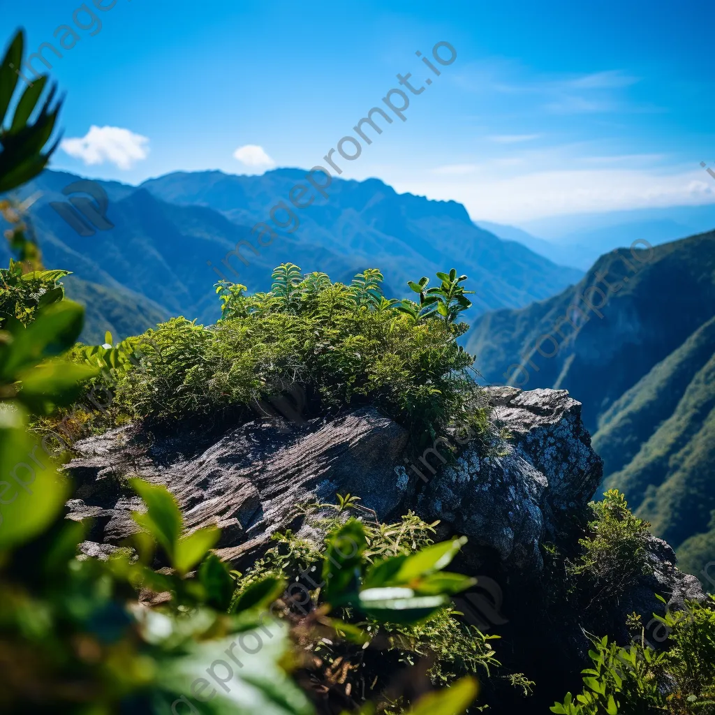 Close-up of greenery on a rocky mountain ridge - Image 3