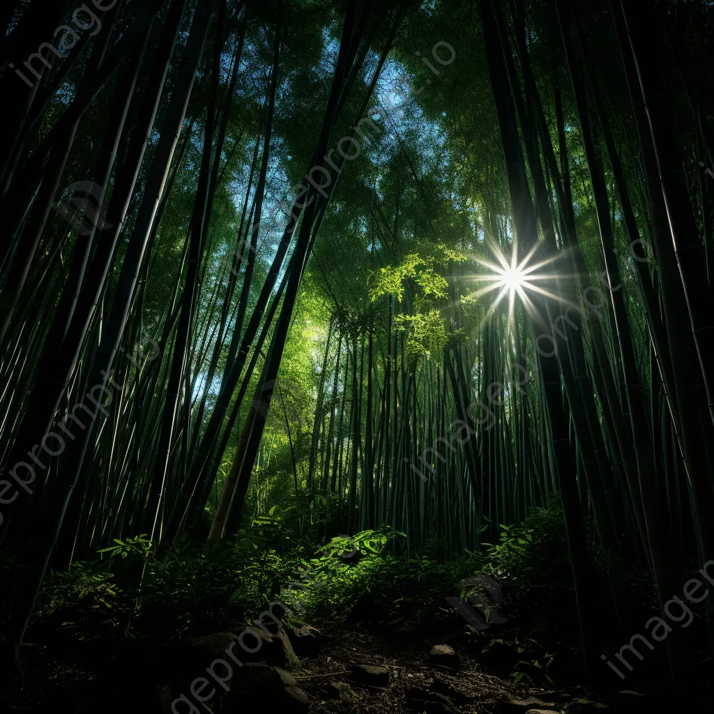 Bamboo forest illuminated by moonlight - Image 3