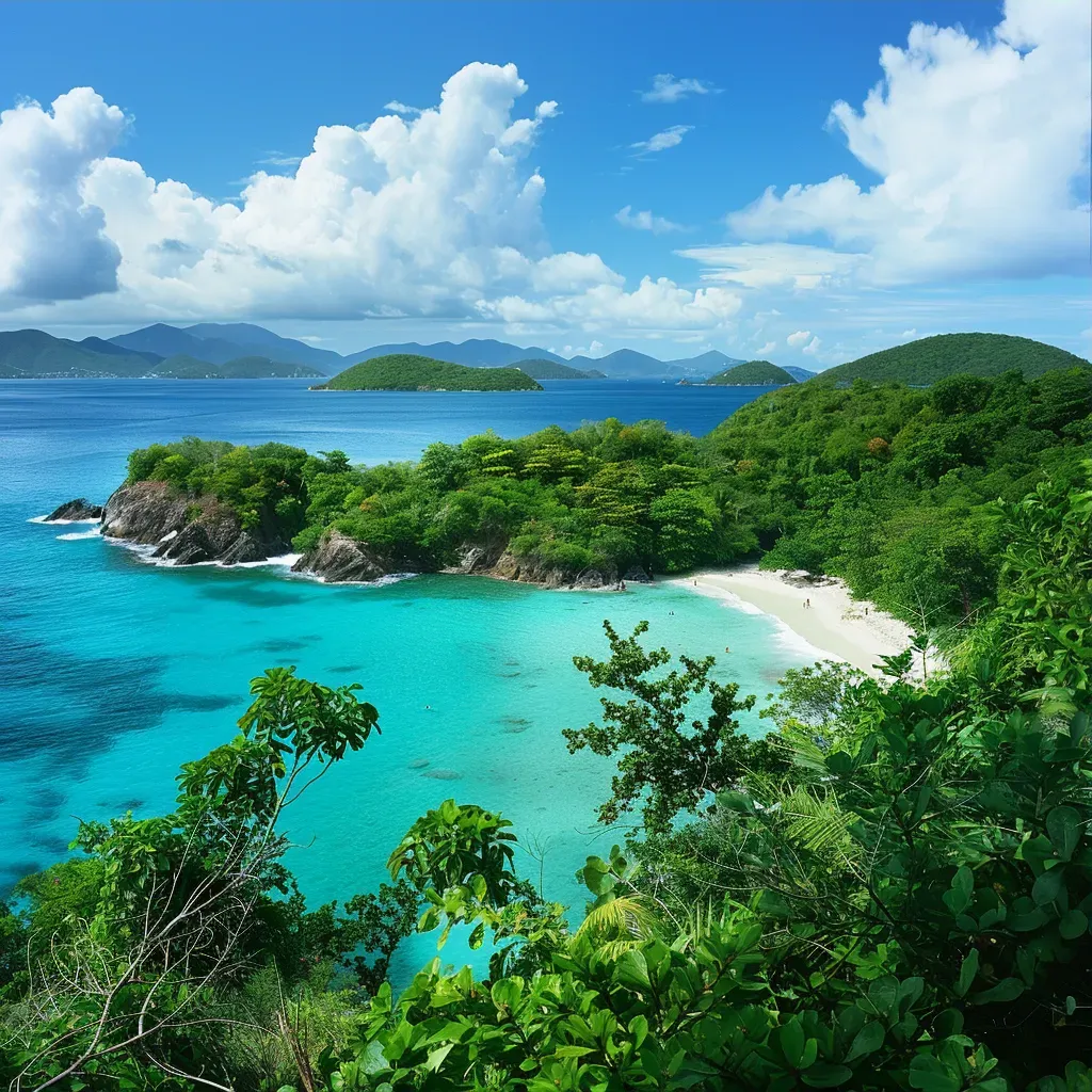 Trunk Bay St John USVI - Image 3