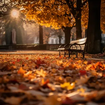 Fallen leaves in a peaceful autumn park - Image 1