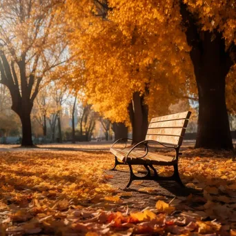 Autumn Serenity in the Park