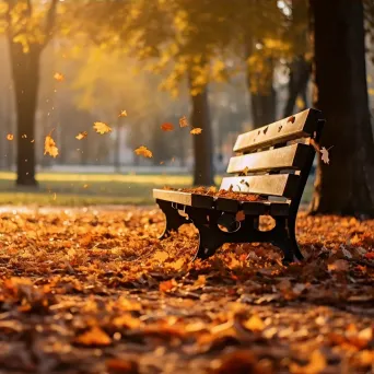 Fallen leaves in a peaceful autumn park - Image 3