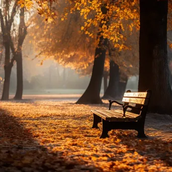 Fallen leaves in a peaceful autumn park - Image 4