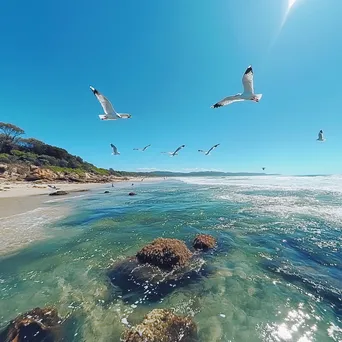 Seagulls flying over coastal estuary under blue sky - Image 3