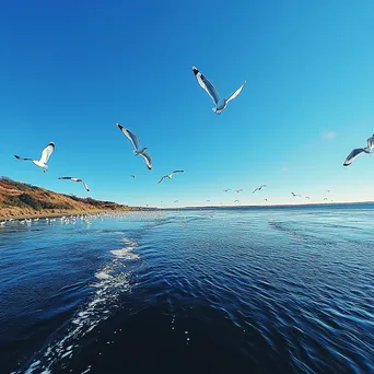 Seagulls flying over coastal estuary under blue sky - Image 4