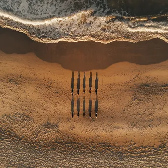 Aerial view of beach yoga session at sunset. - Image 1