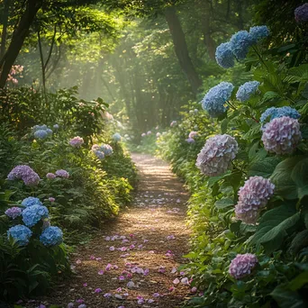 Garden path lined with blooming hydrangeas. - Image 1