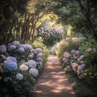 Garden path lined with blooming hydrangeas. - Image 3