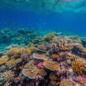 Colorful coral reef teeming with marine life under the clear blue sea - Image 2