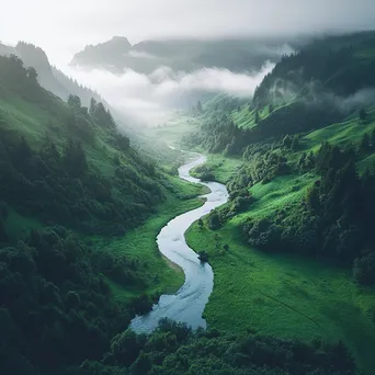 River Through Misty Valley