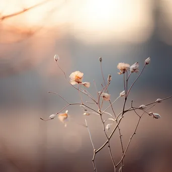 Light gray and beige gradient with gentle circular bokeh - Image 1