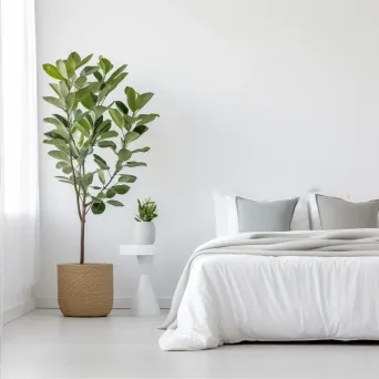 Green plant in minimalist white bedroom - Image 2