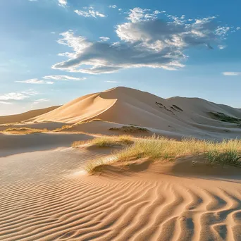 Expansive view of wind-sculpted sand dunes with grass - Image 1