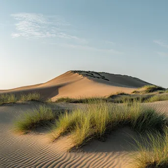 Wind-Sculpted Dunes with Grass