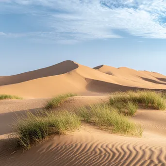 Expansive view of wind-sculpted sand dunes with grass - Image 3