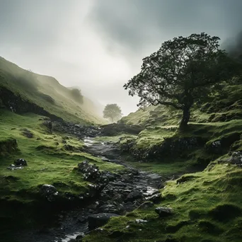 Misty Hillside Traditional Well