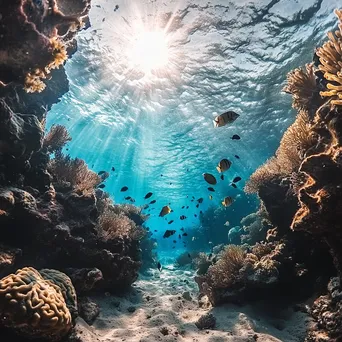 Underwater canyon filled with coral and multiple fish species. - Image 4