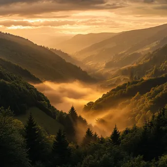 Golden hour light illuminating a misty valley - Image 2