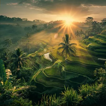 Bali rice terrace sunrise - Image 2