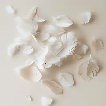 White and beige feathers scattered on a pale background. - Image 1