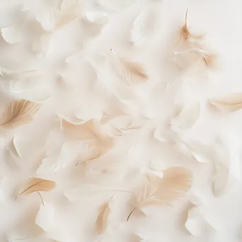 White and beige feathers scattered on a pale background. - Image 2