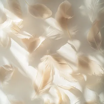 White and beige feathers scattered on a pale background. - Image 4