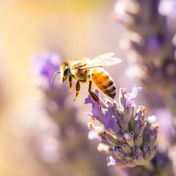 bee pollinating flower - Image 4