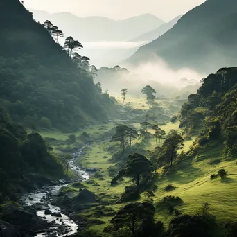 Misty mountain valley with winding path and ancient trees - Image 4