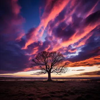 Lone tree silhouette against a dramatic sky in black and white - Image 1