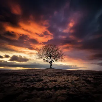 Lone tree silhouette against a dramatic sky in black and white - Image 2