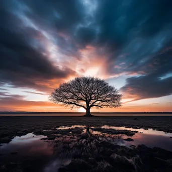 Silhouette Tree at Dusk