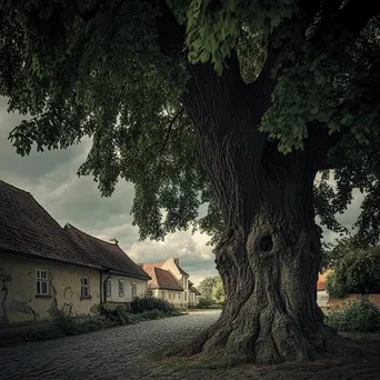 Large linden tree in a tranquil village setting - Image 3