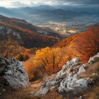 Mountain plateau view of autumn foliage in valley. - Image 1