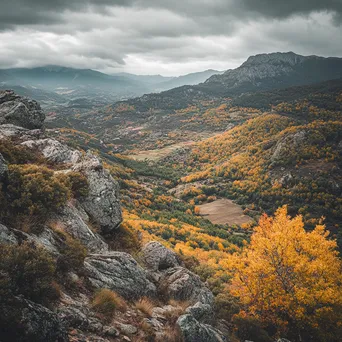 Mountain plateau view of autumn foliage in valley. - Image 4