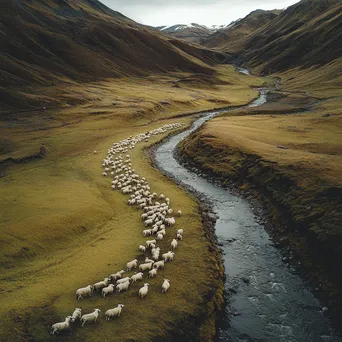 Aerial shot of shepherd and flock meandering through a beautiful valley - Image 1