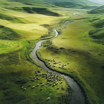 Aerial View of Shepherding in a Valley