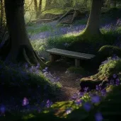 Image of a secluded woodland garden with bluebells and a stone bench - Image 1