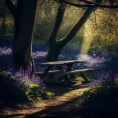 Enchanted Bluebell Grove