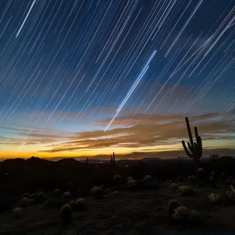 Star trails streaking across the sky above a desert landscape with cacti - Image 1