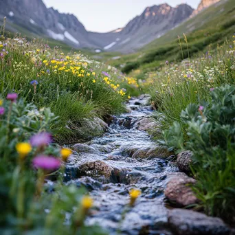 Close-up image of a mountain stream running through an alpine meadow. - Image 1