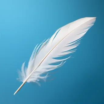 Floating Feather Against Sky