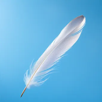 floating feather sky - Image 4