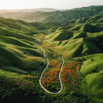 Aerial view of a mountain valley filled with wildflowers - Image 1