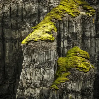 Basalt Columns and Green Moss