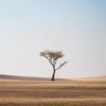 A minimalistic desert tree shot on Fujifilm X-T4 - Image 1