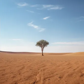 A minimalistic desert tree shot on Fujifilm X-T4 - Image 4