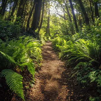 Forest path surrounded by ferns and wild vines - Image 3